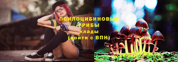 спиды Волосово