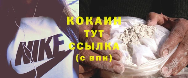 сатива Лабытнанги