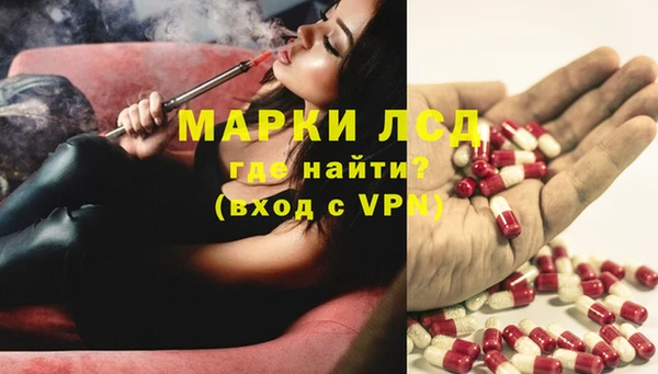 сатива Лабытнанги