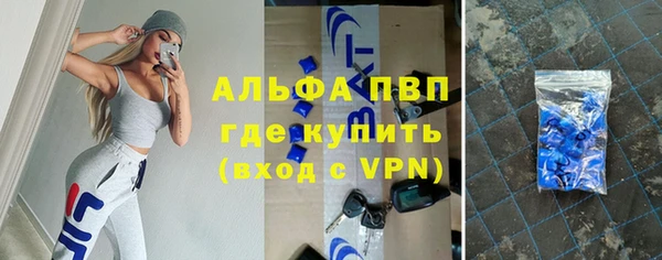 сатива Лабытнанги