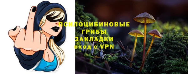 сатива Лабытнанги