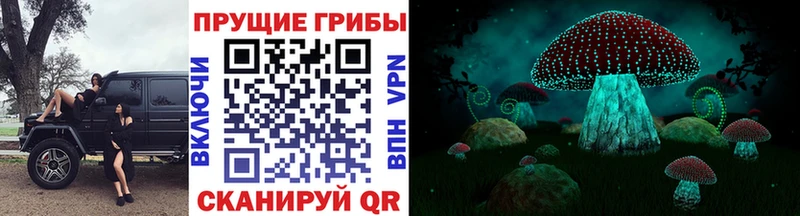 кракен маркетплейс  Прокопьевск  Галлюциногенные грибы MAGIC MUSHROOMS 